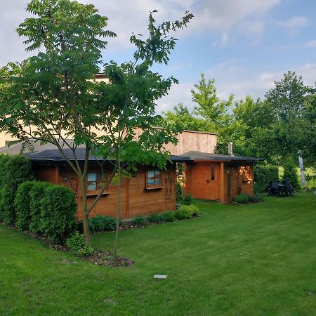 Willa Amber Zakosciele Inowlodz Exterior foto